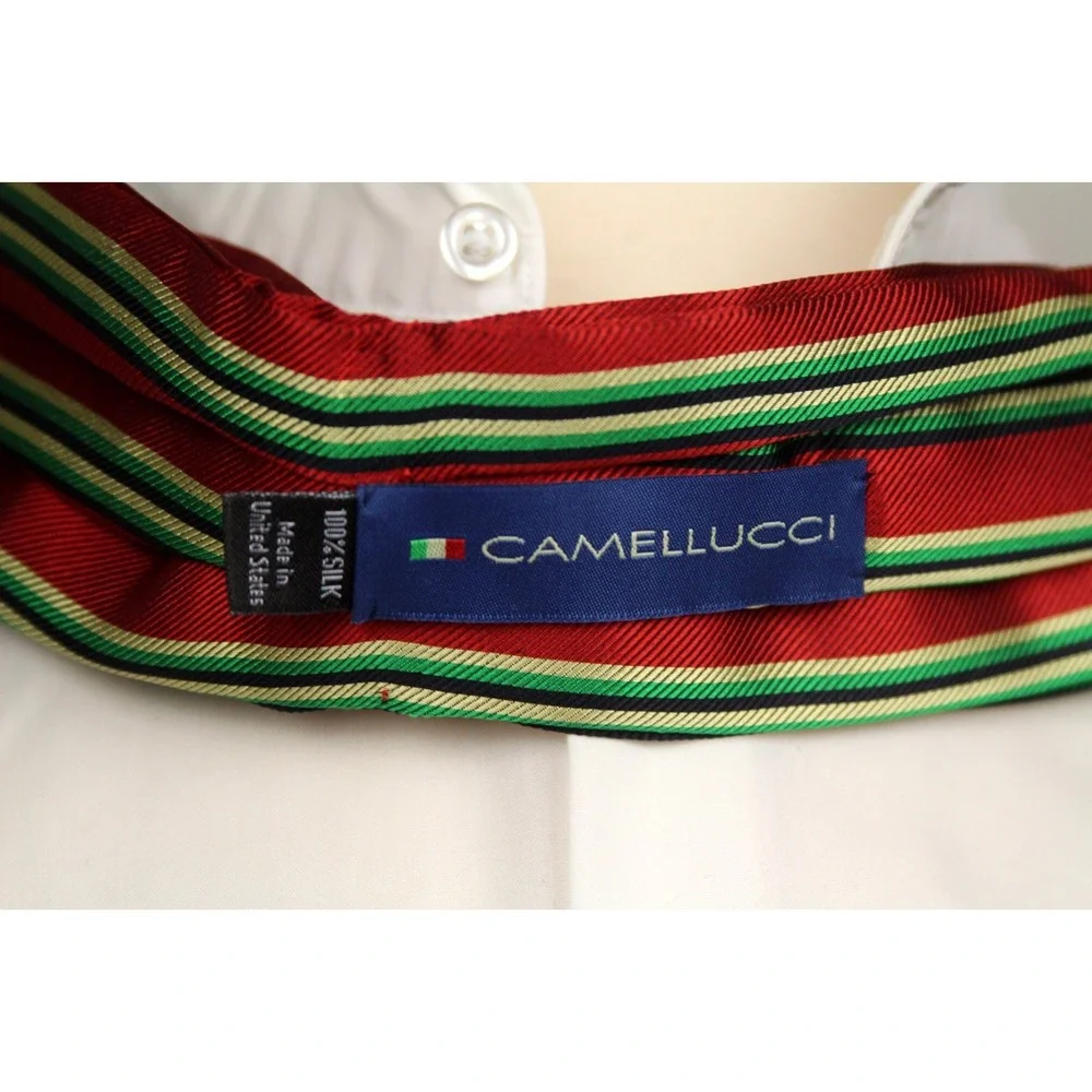 Camellucci Men's 100% Silk‎ Ascot Cravat LUXURY Striped Red Green Block